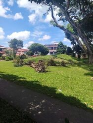 Ang Mo Kio Avenue 5 (D20), Terrace #495615881